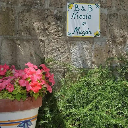 Nicola E Magda *